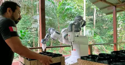 YuMi, el robot que combate la deforestacin.