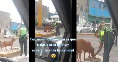 Polica enternece a todos al ser visto alimentando a perrito callejero.