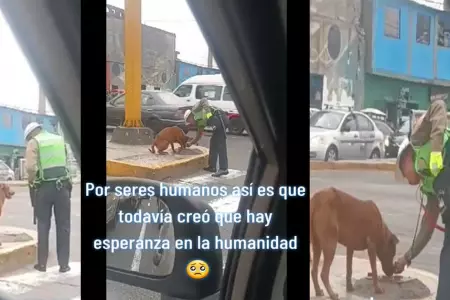 Polica enternece a todos al ser visto alimentando a perrito callejero.