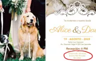 No nios, perros s! Pareja causa controversia con su decisin para la boda