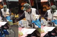 "Es mi fiel amigo": Abuelito conmueve al proteger a su perrito de la lluvia