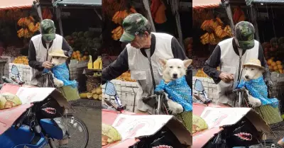Abuelito protege a su perrito de la lluvia.