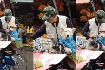 Abuelito protege a su perrito de la lluvia.