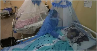 Fallecidos por dengue superan los 80 en Lambayeque