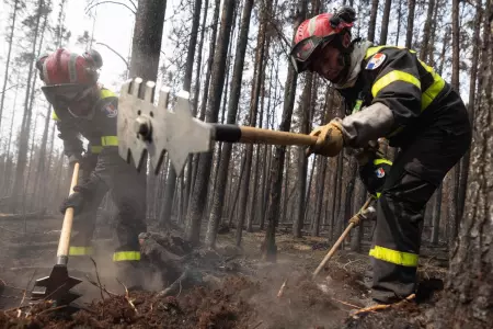 "Metro a metro": Bomberos extranjeros ante el desafío de los incendios forestale