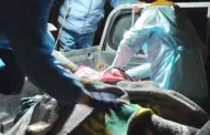 Arequipa: Un menor fallecido y 13 heridos deja un accidente de minivn que trasladaba a escolares en Caylloma