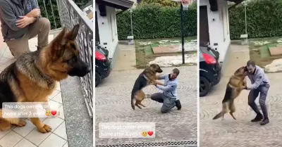 Perrito recibe emocionado a su dueo despus de 3 aos lejos.