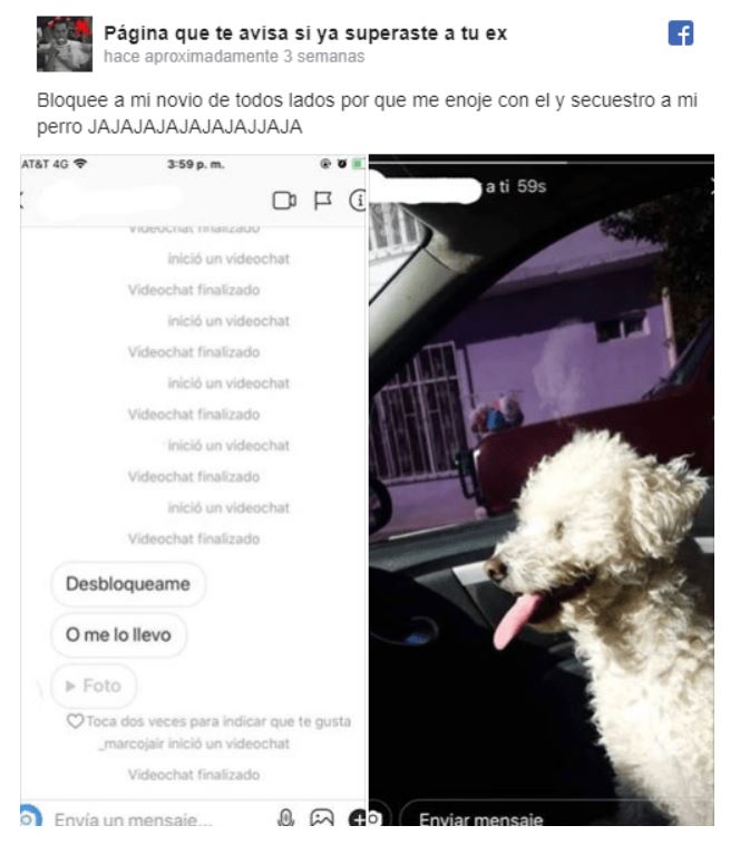 Joven secuestr al perrito de su novia para que lo desbloqueara.