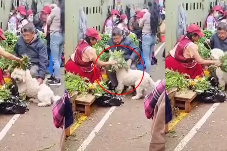 Seor deja que su perrito pase por una limpia con ruda.