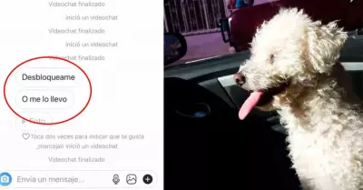 Su novia se enoj con l y decidi vengarse secuestrando a su perrito.