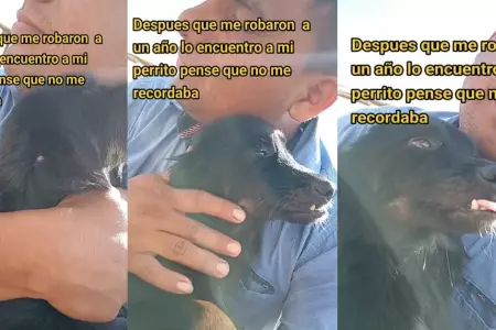 Perrito vuelve a ver a su dueo luego de un ao.