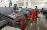 ncash: Vendedores y pescadores afectados por cierre de Puerto en Chimbote