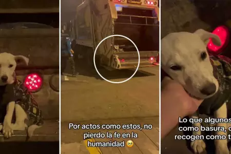 Perrito abandonado en la basura es adoptado.