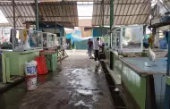 Chimbote: Multan a mercado La Perla por espacios antihiginicos