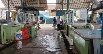 Multan a mercado La Perla por espacios antihiginicos