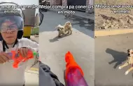 Ser buena idea? Joven sorprende con su mtodo para defenderse de perros callejeros