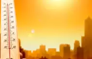 Alarmante! Agencia de la ONU confirm que se rompi el rcord mundial de calor la semana pasada