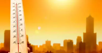 Agencia de la ONU confirm que se rompi el rcord mundial de calor la semana pa