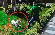 Maltrato animal: Sujeto que golpe a mascotas fue multado con ms de 2 400 soles en Magdalena