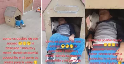 Madre descubre a su hijo durmiendo en la casa de su perro.