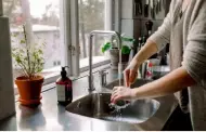Es hora de lavar los platos?: Prueba estos estropajos naturales y ecolgicos para hacerlo