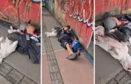 "La mejor compaa": Perrito se queda dormido junto a su dueo en la calle