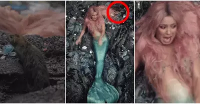 Shakira se encuentra con una rata durante grabacin de videoclip
