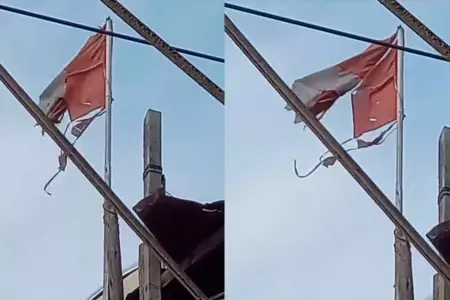 Bandera nacional se vuelve viral por su condicin.