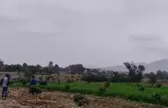 Huaral: Agricultores reclaman que ladrilleras informales contaminan sus hectreas de cultivos