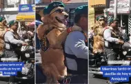 "Firualis patriota": Polica canino asombr a todos en desfile militar