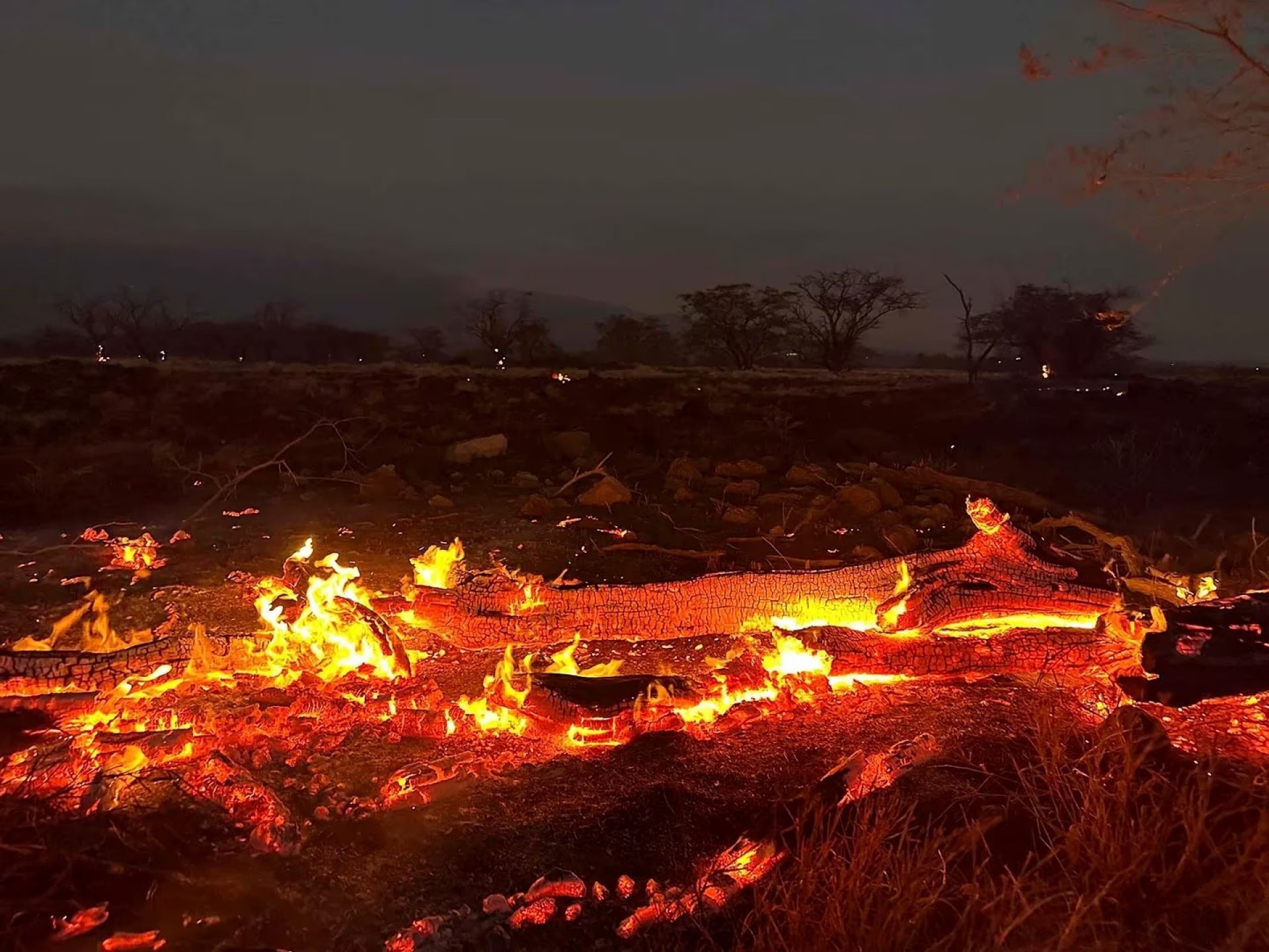 Hawaii fue arrasado por incendio forestal