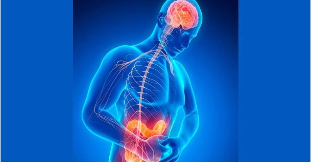 Curiosidades sobre salud: ¿Sabes por qué llaman al intestino como el segundo cerebro del cuerpo humano?