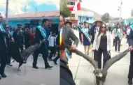 Apurímac: ¡Indignante! Alcalde de Coyllurqui arrastró un cóndor andino en desfile por Fiestas Patrias