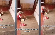 "Firulais beb": Abuelita conmueve por dar de comer con cuchara a su perrito
