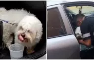 Pueblo Libre: Sereno rompe ventana de auto para rescatar a perrito deshidratado
