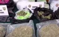 La Victoria: Polica detuvo a involucrados en la comercializacin de marihuana
