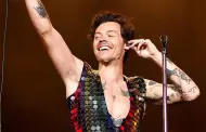 Harry Styles donar ms de 6 millones de dlares a organizaciones benficas tras gira 'Love on Tour'