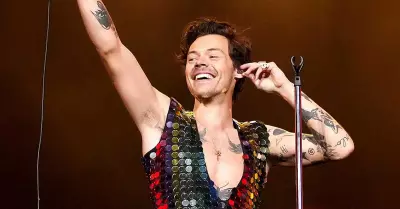 Harry Styles donar ms de 6 millones de dlares a organizaciones benficas.