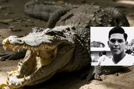Jess Alberto Lpez muri tras ser devorado por un cocodrilo.