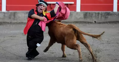 Espectculo de "toreros enanos", prohibido en Espaa, se presenta en Francia