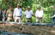 Ms de 11 mil hectreas de cultivos ilegales de hoja de coca fueron erradicadas en el 2023