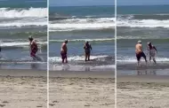 "Amor del bueno": Pareja de abuelitos cautivan a todos con su juego en la playa