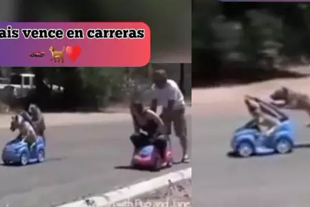 Perritos y humanos sorprenden al jugar a las carreras de autos.