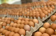 Alertan nuevo ingreso masivo de huevos de contrabando procedentes de Bolivia y Ecuador