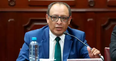 Magistrado del Tribunal Constitucional, Gustavo Gutirrez Ticse.