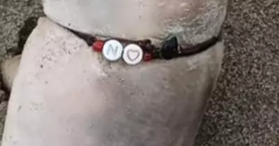 Pulsera de amor fue clave para identificar cuerpo de tripulante de avioneta que