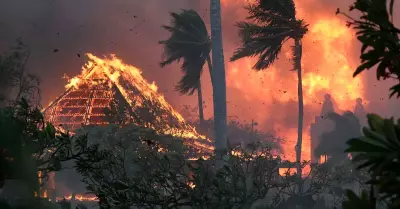 Incendio forestal arrasa Hawaii