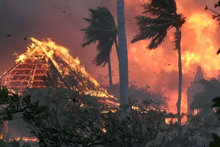Incendio forestal arrasa Hawaii
