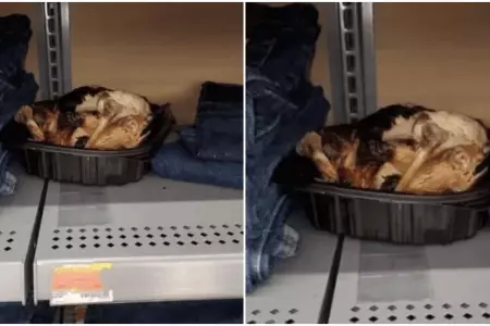 Cliente devora medio pollo y lo abandona en rea de ropa