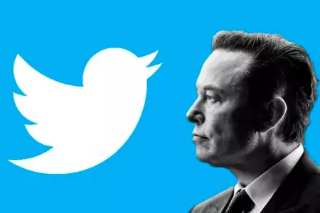 Musk habra anulado el acceso a profesor de la Universidad de New York a Twitter